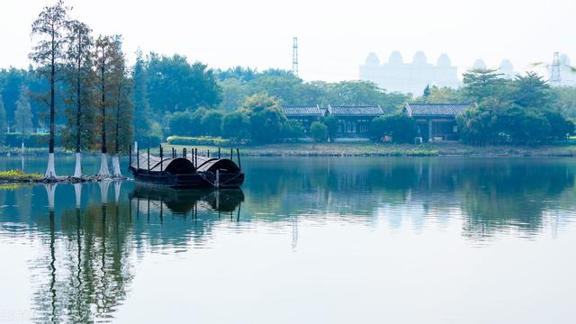 来广东很多年了，为什么还会感到寂寞和孤独？