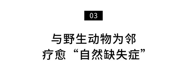 情侣住荒野7年租30亩地自耕自食