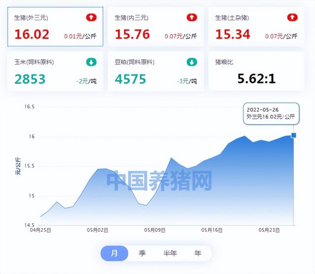05月26日猪价：猪价“猛涨熄火”，有大范围下跌可能吗？