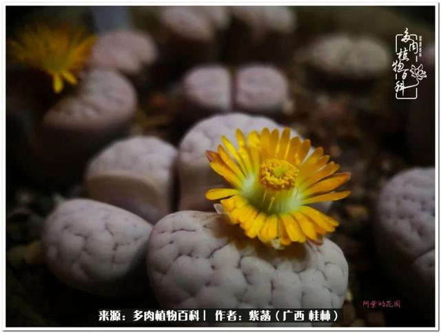 桂林滚筒式洗砂机厂家