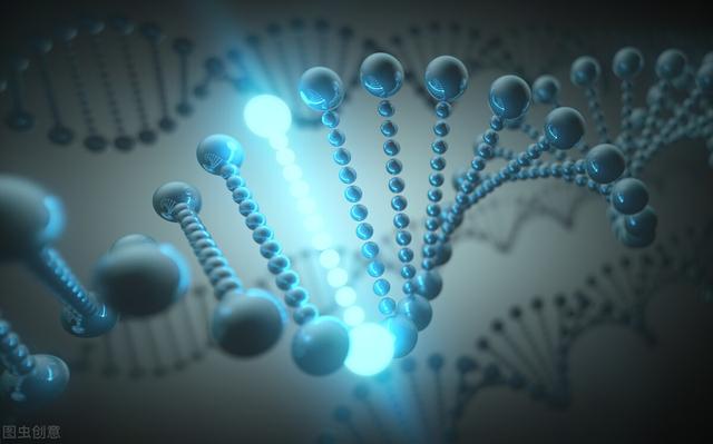 太空健康研究 | 宇航员血液样本揭示了太空飞行的一些健康风险