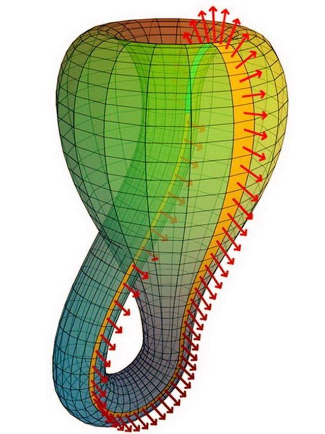 著名的“克莱因瓶”是什么？为什么将地球上的水倒进去也装不满？