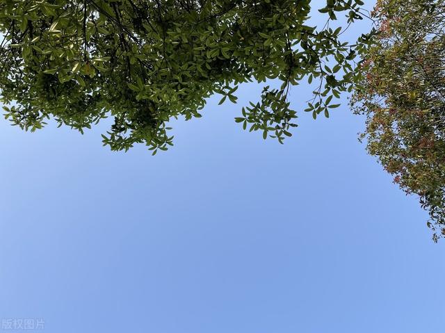 往事年华不堪回首，生死过后，领悟人生活着的意义