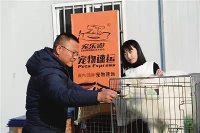 托运宠物需要准备什么(靠谱的宠物托运app)