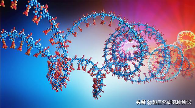 如果把地球的一生浓缩成一天，会发生什么？超出你想象的地球故事