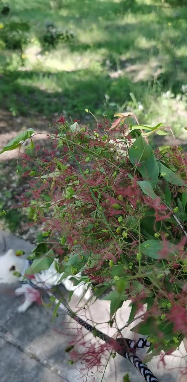 为什么有的人觉得写作太难