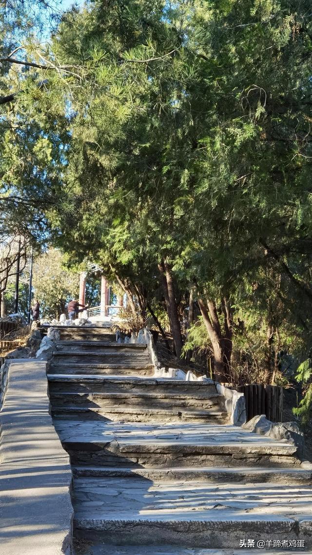 一隅山水鬧市藏 精巧布景多風光——北京東單公園冬日時光