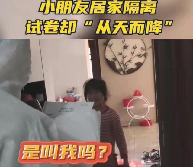 笋都被夺完啦！小学生居家没带作业，大白却上门表演“卷从天降”