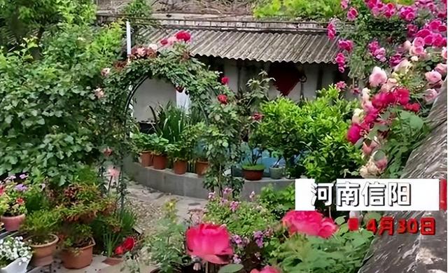 郑州新增3例确诊/郑州发布71号、72号通告/今日郑州8城区全员核酸/郑州调整航空港区部分区域防控管理