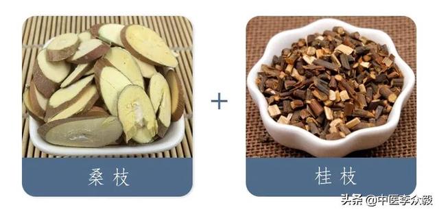 血虚、血瘀、血寒，血运失常各个脏腑出问题，理气血用这3对药