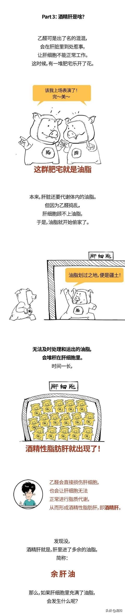 世上本没有酒精肝，喝的酒多了，便有了酒精肝