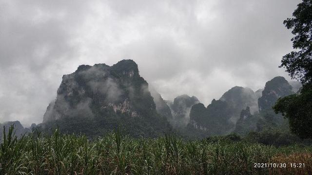 觀鳥兩年——每日期待著與鳥兒的邂逅，踏上了追逐鳥兒的征程