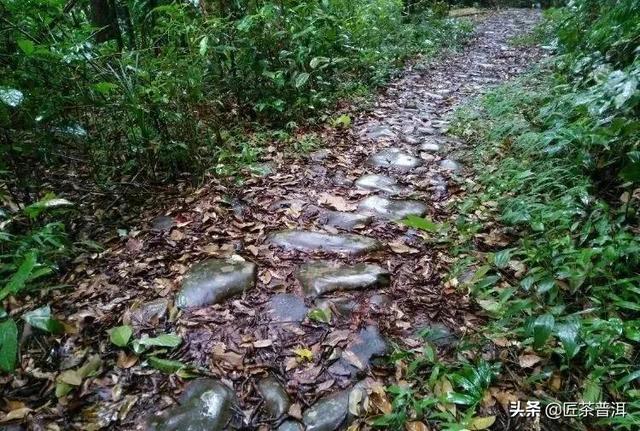 茶马古道上这些传说，你肯定不知道