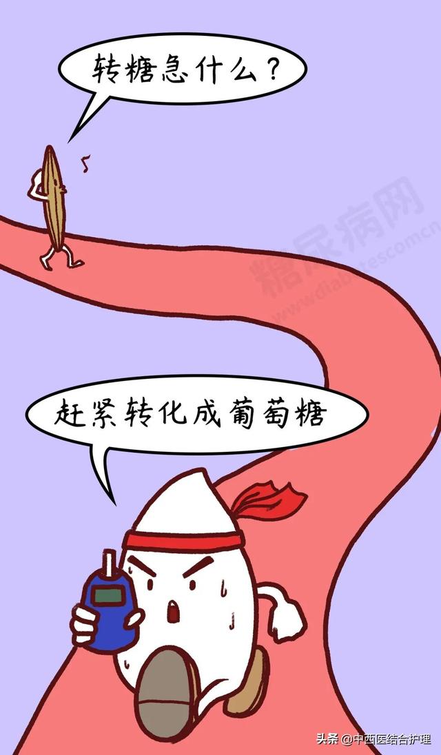「科普营养」米饭“加点料”，血糖更平稳