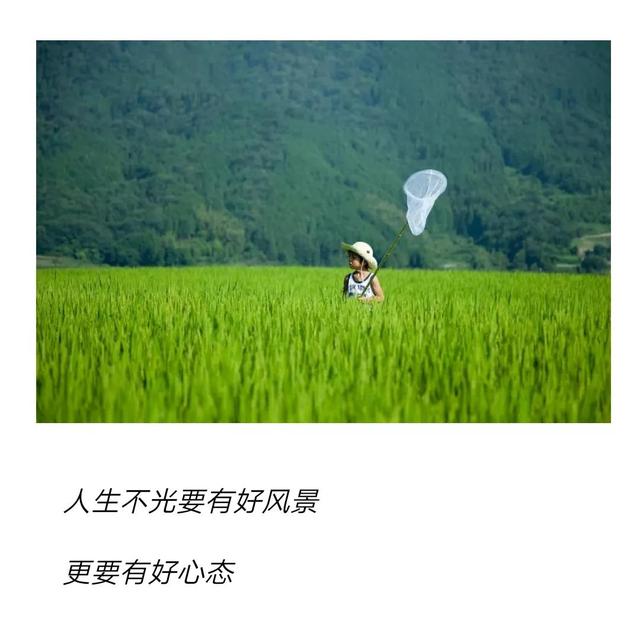 心理小能量
