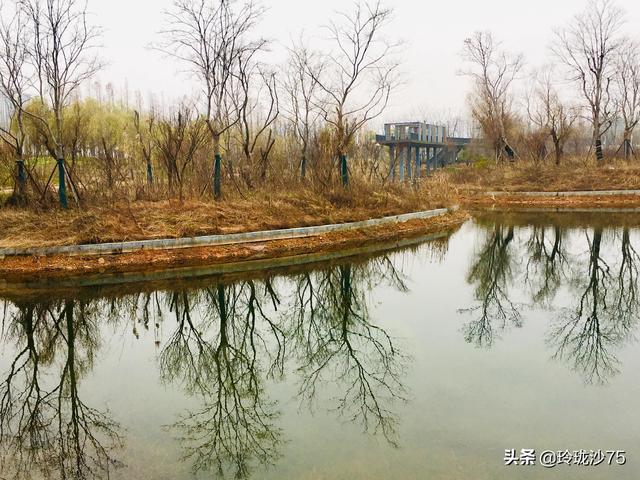 長沙唯一擁有戶外足球場的公園，更有大片水杉美景等你來