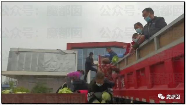 愤怒！众多城市支援上海竟然毫无热度？我们上海人不答应