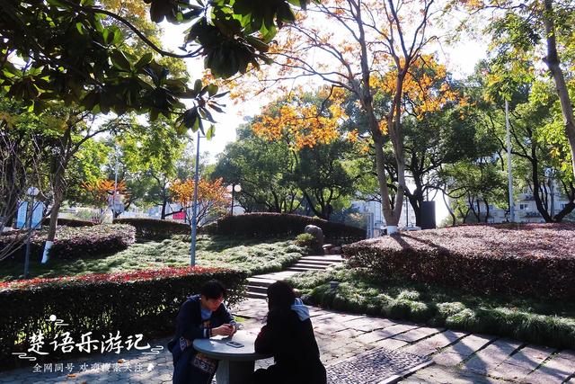 身爲5A景區卻堅持免費，秋色斑斓到處如畫，甯波這個景點讓人驚豔