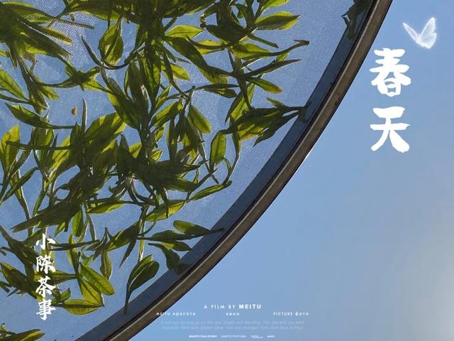 白茶晒一晒，防潮又提香？别傻了，再这么存白茶就废了