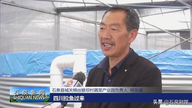 陕西石泉：鱼菜共生引领新潮农业