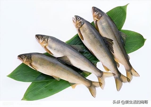 老一辈讲究：立夏食2肉，吃2菜，喝2茶，忌2样，少生病，健康过夏
