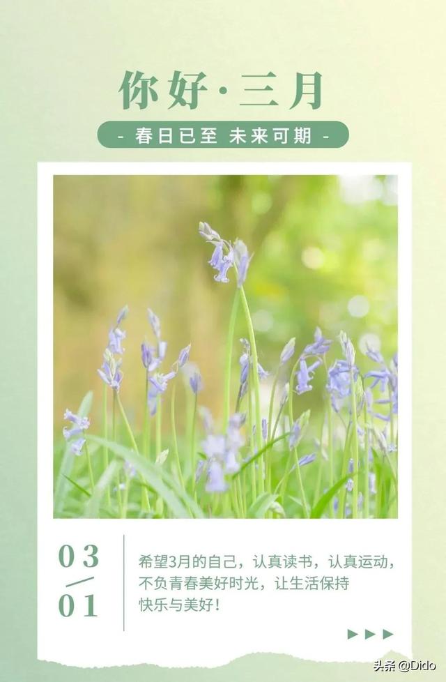 适合3月1号发朋友圈文案丨告别冬天的懒散迎接22年的春天吧 新闻时间