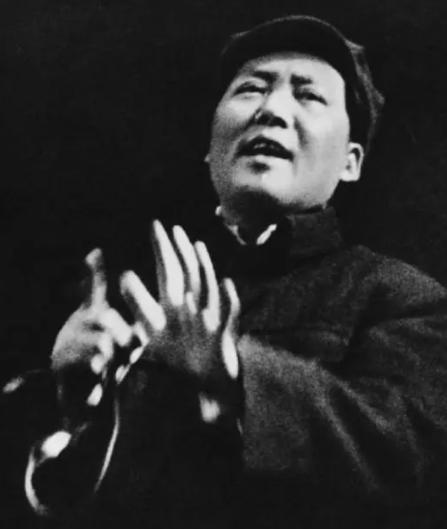 毛主席原配逝世多年，毛氏族谱记载：杨开慧之子毛岸龙作为其子