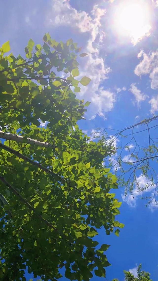 蓝色天空白云飘飘