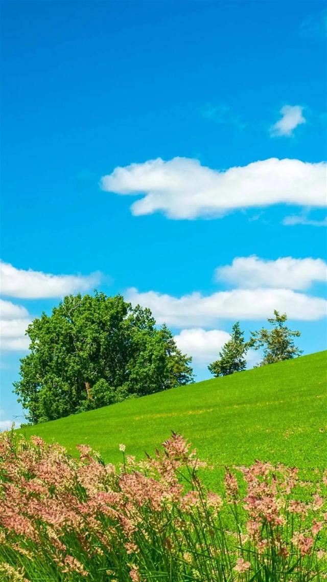 微商神起抢群聊红包-蓝天白云微信头像-站库网