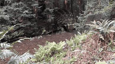 6205345905_d59a564256-160x160