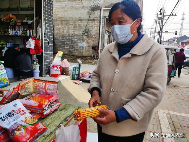 春耕期间，农资店老板经营亩产1800斤的玉米种子，靠谱吗？