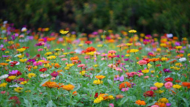 胃胀的七个原因，您知道吗