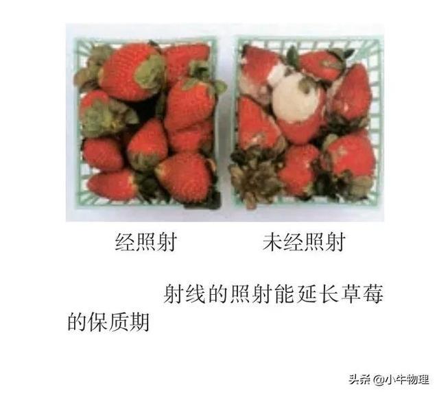 高中物理核反应