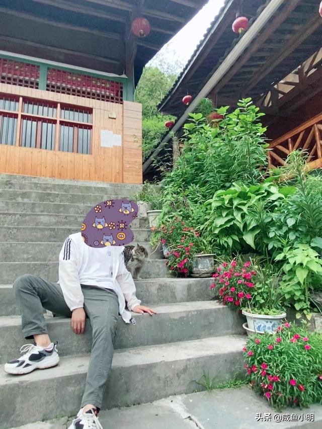 森林是一座宝库