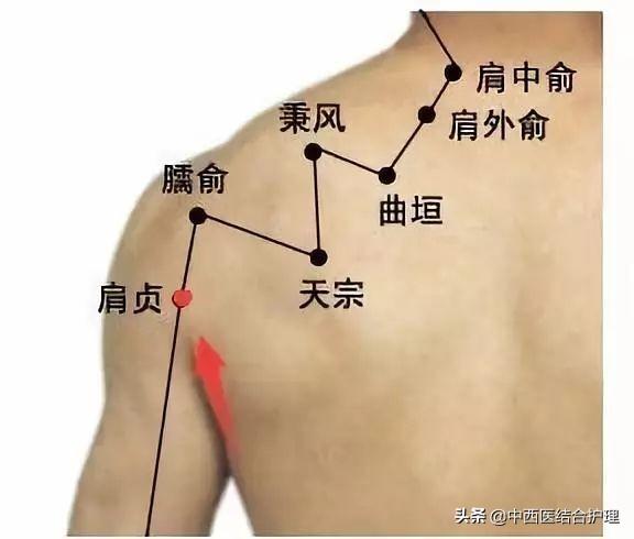 「经络养生」颈椎不好、肩背酸痛的人，要特别注重小肠经的疏通