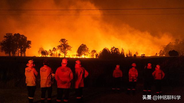 澳大利亚究竟有什么特殊？为什么每隔一段时间就发生森林火灾？