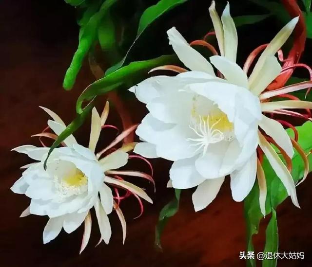 今日好心情，幸福来敲门