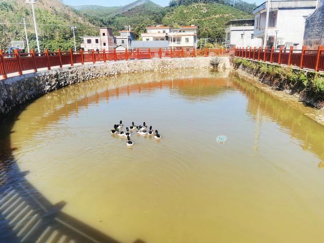 广东惠州鹅卵石制砂机