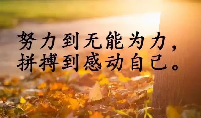 向阳而生的励志句子逆光生长向阳而生励志句子