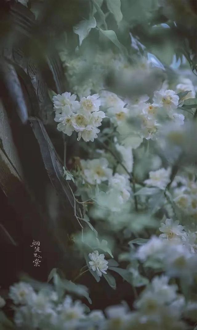 不辜负自己，不辜负时光，善于感知自我，才能让人生更加精彩
