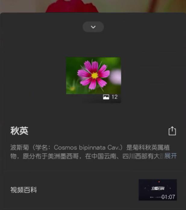 你不知道的几个微信使用小技巧，看完后效率大大提升