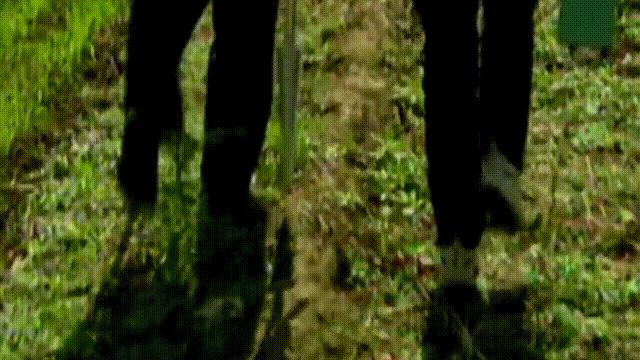 秦始皇陵：2002年考古学家全面勘探了秦始皇陵，五个惊奇浮出水面