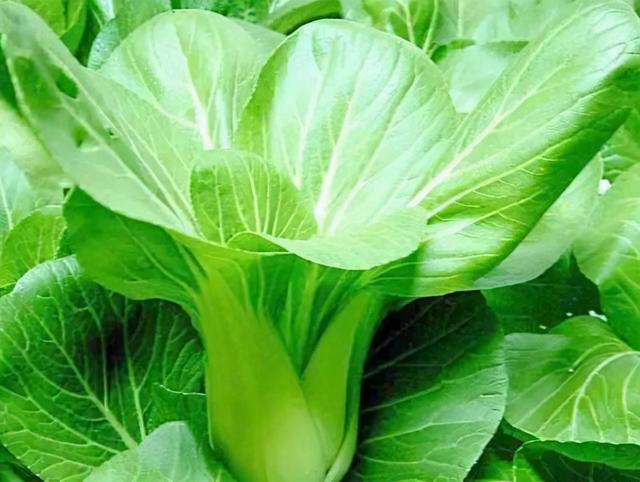 吃虾皮并不能补钙？医生：真正补钙的4种食物，多数人却不爱吃