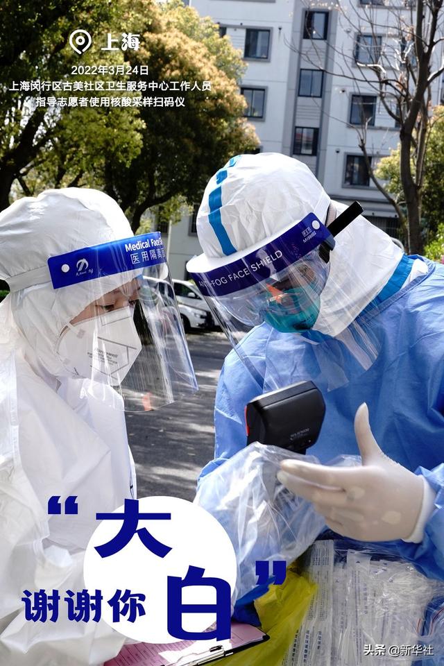 谢谢你，“大白”