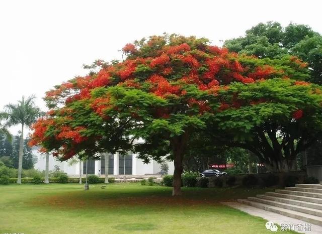 一剪春光满庭芳