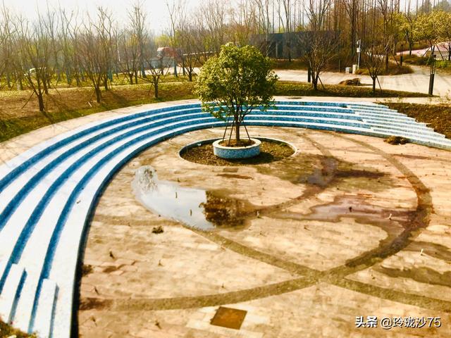 長沙唯一擁有戶外足球場的公園，更有大片水杉美景等你來