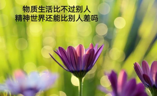 让人释怀的正能量人生语录！（句句深入人心激励人生）