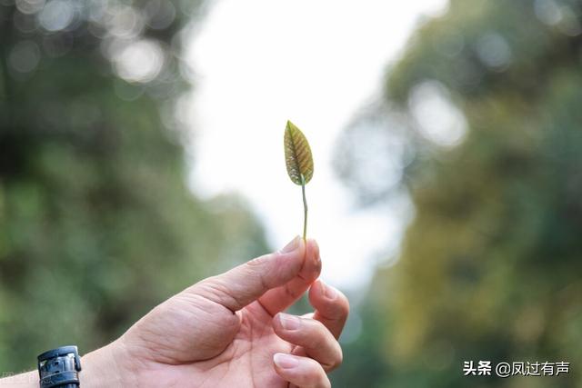 想开了，一辈子就那么回事，真没啥大不了的