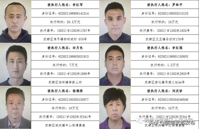 曝光! 武都区法院公布2022年第一批失信被执行人名单（172人）