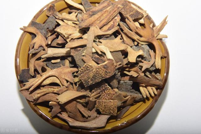 抗衰老的中药（四十五）